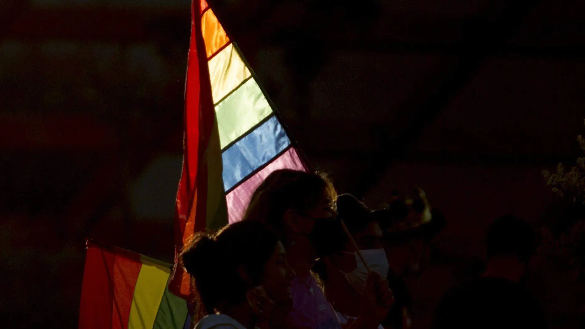 821603_Vigésima Marcha Orgullo LGBT06.JPG_web